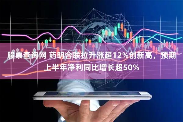 股票查询网 药明合联拉升涨超12%创新高，预期上半年净利同比增长超50%